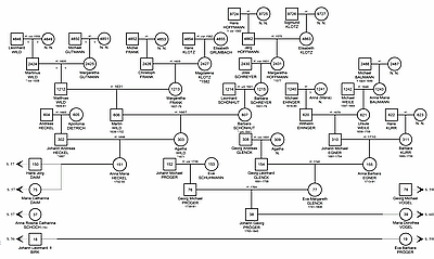 vergrößern Beispiel-Ahnentafel